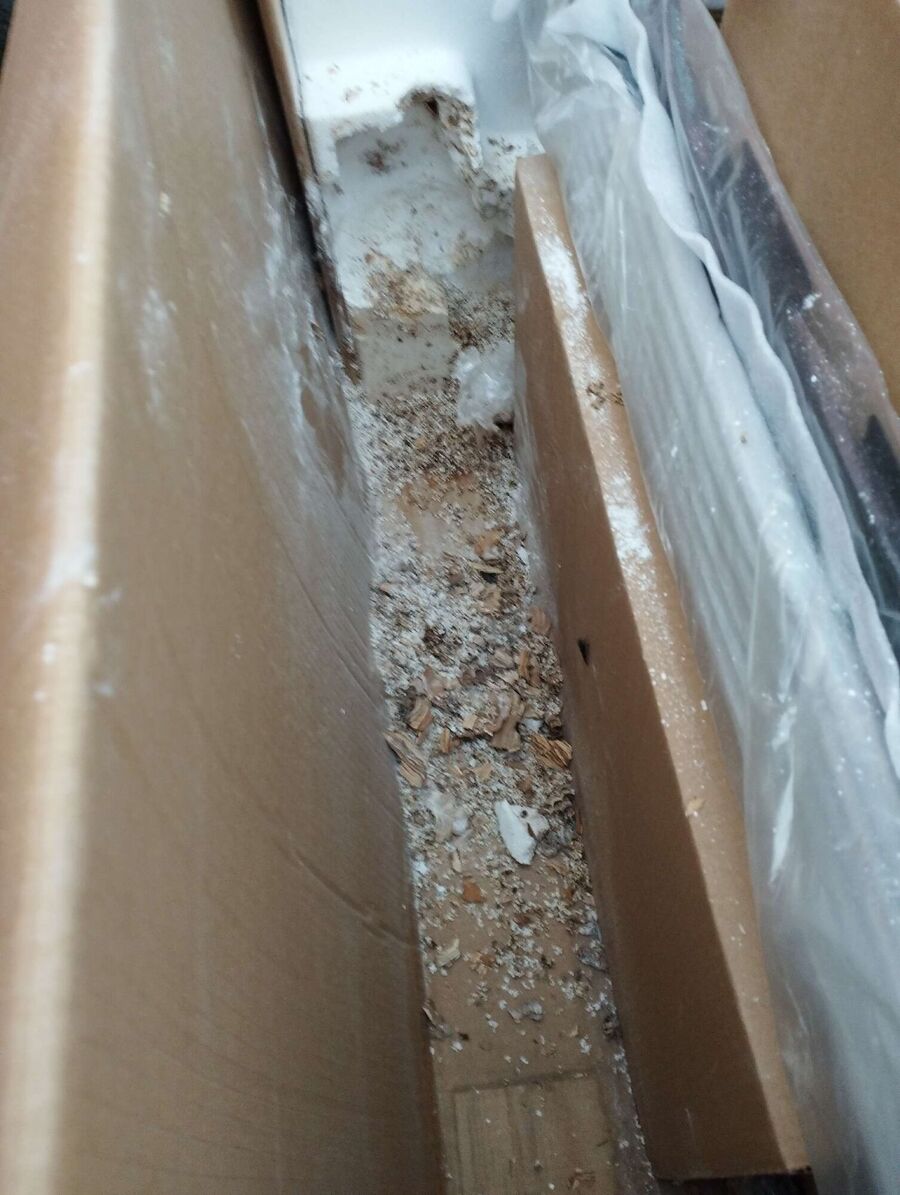 Bienen umsiedeln &  Bienennest entfernen 