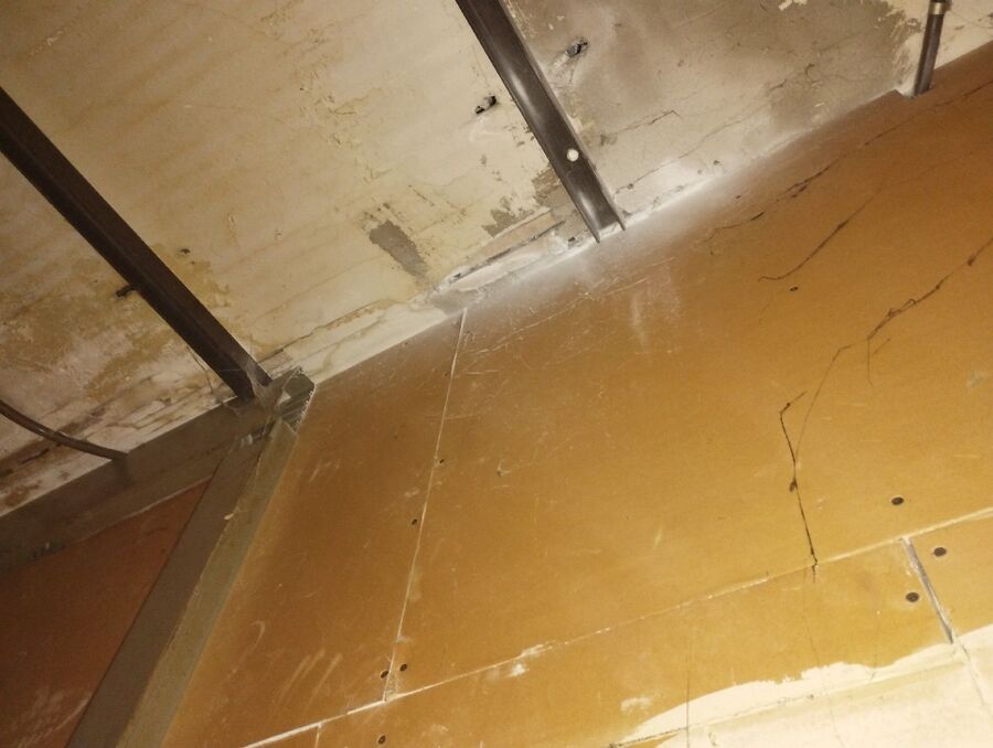  Bienennest entfernen