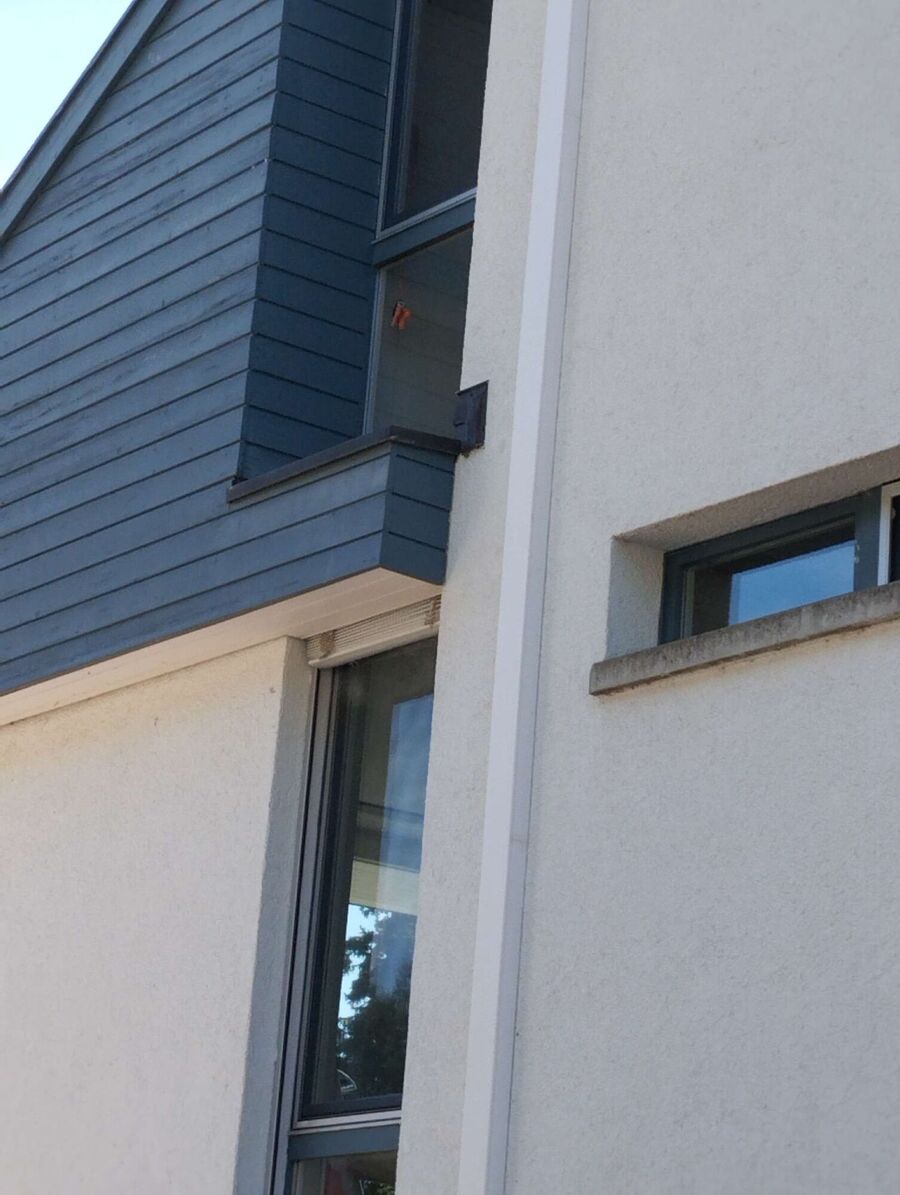  Bienennest entfernen