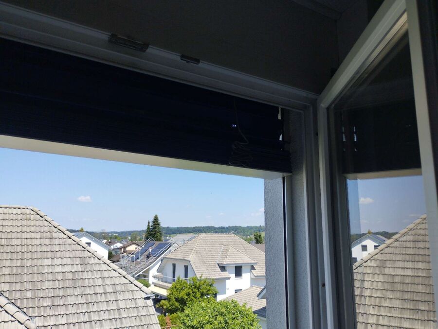  Bienennest entfernen