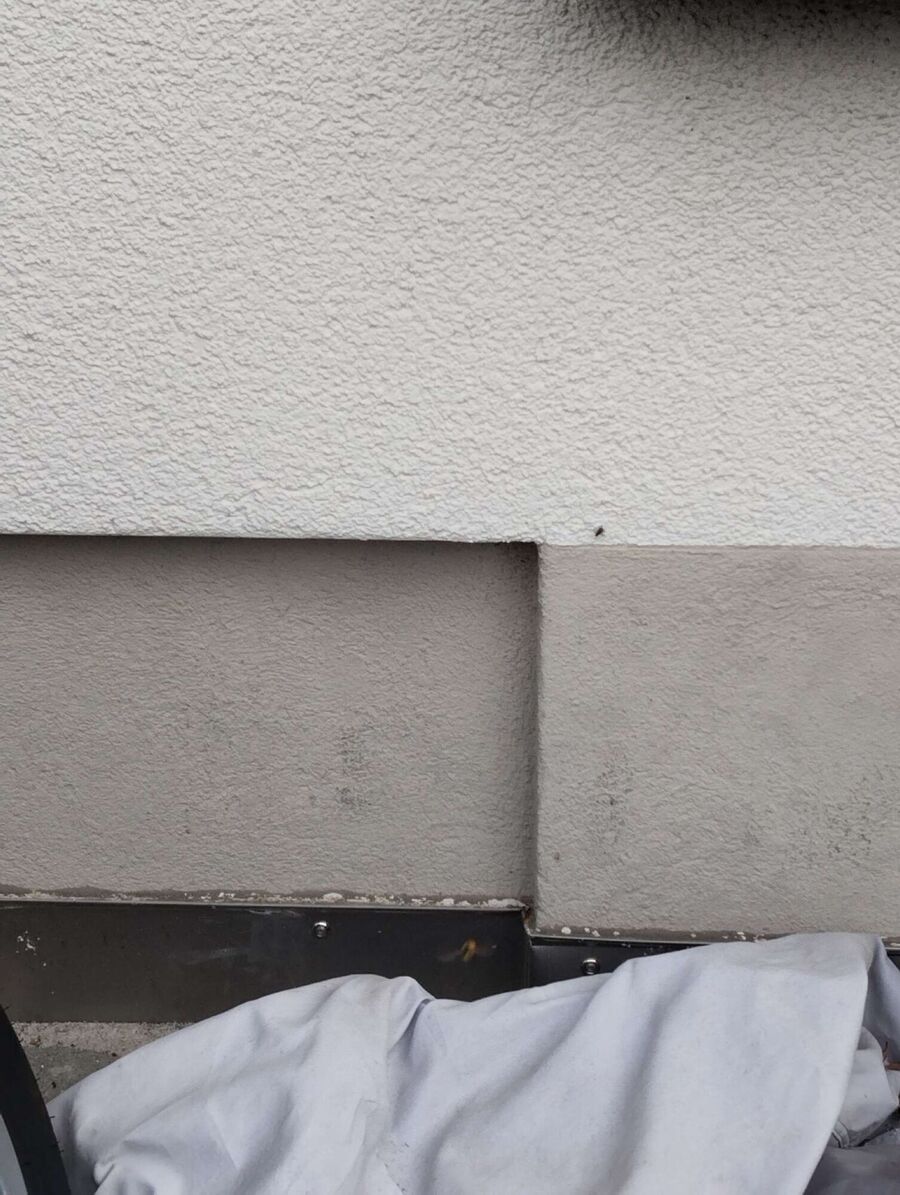  Bienennest entfernen.jpeg