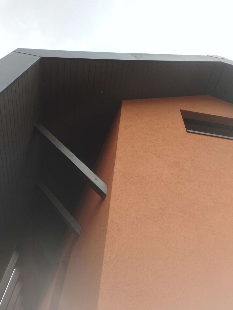  Bienennest entfernen.jpeg