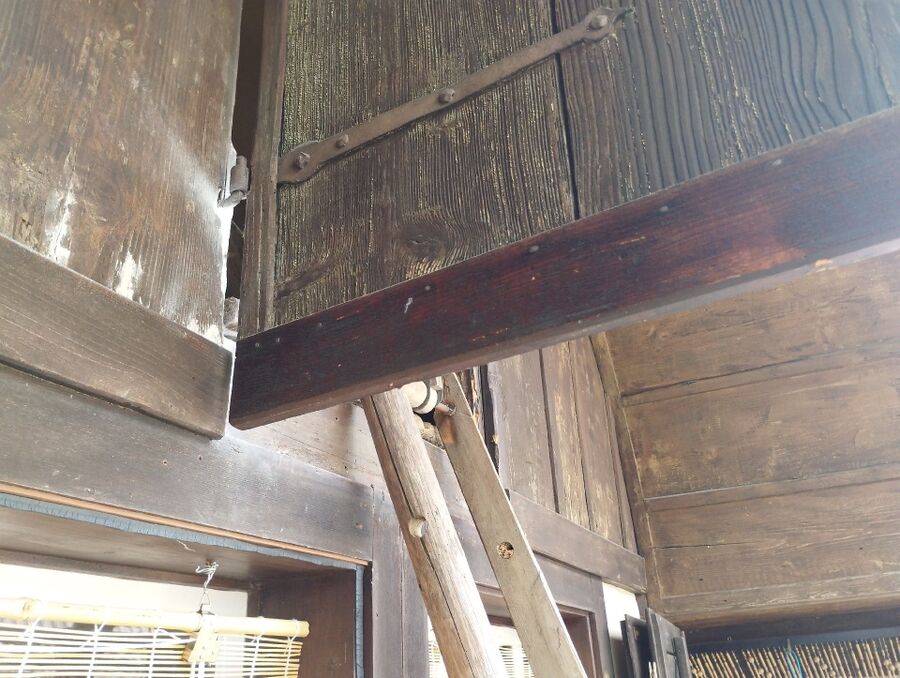  Bienennest entfernen