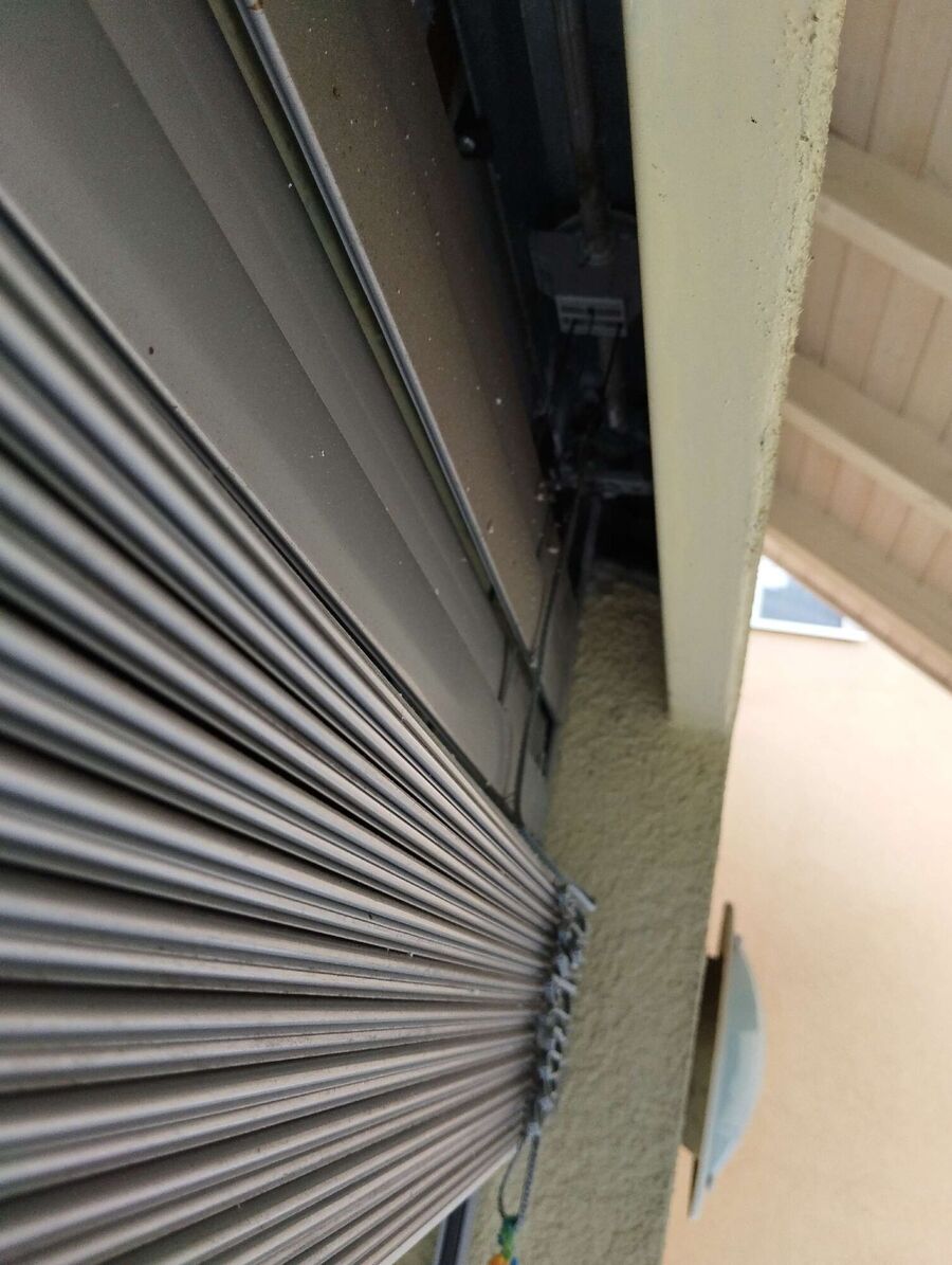  Bienennest entfernen