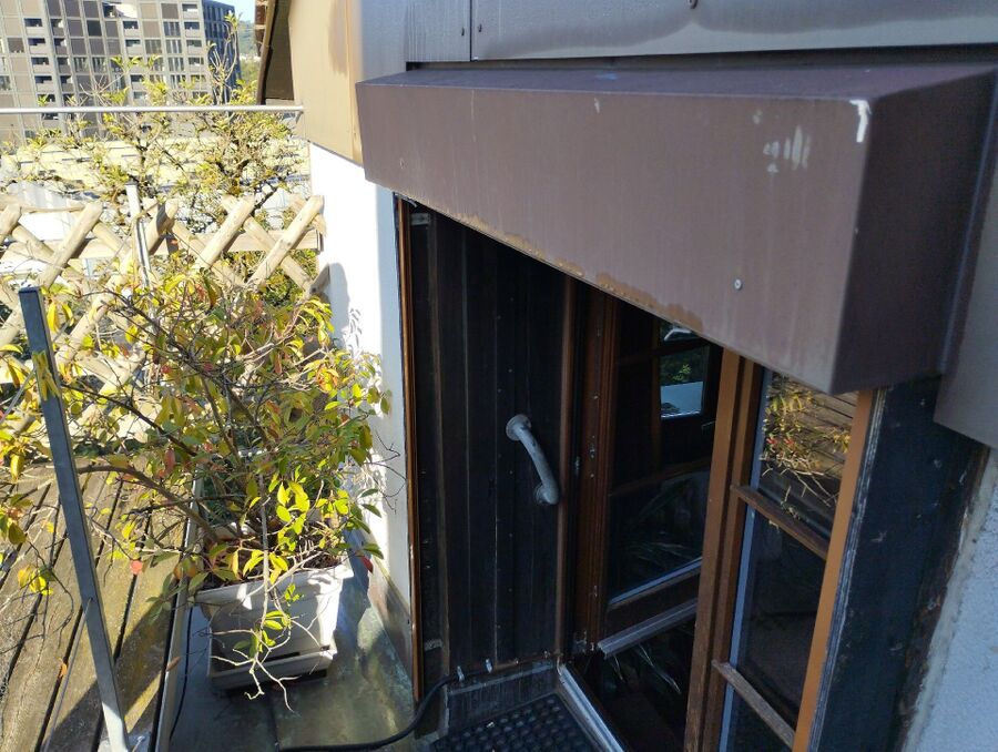 Bienen umsiedeln &  Bienennest entfernen 