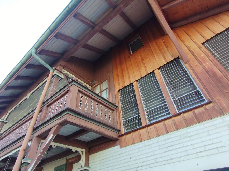 Bienen umsiedeln &  Bienennest entfernen 