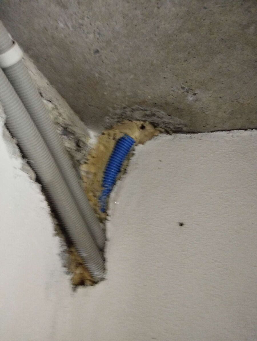  Bienennest entfernen