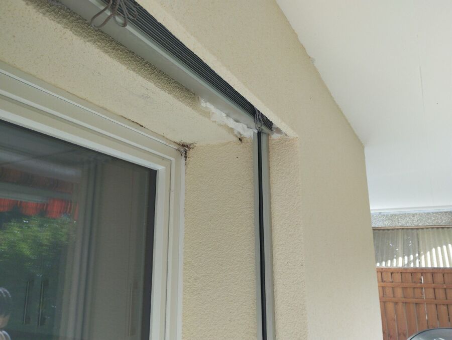  Bienennest entfernen