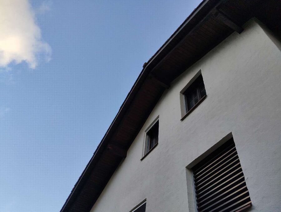 Bienen umsiedeln &  Bienennest entfernen 