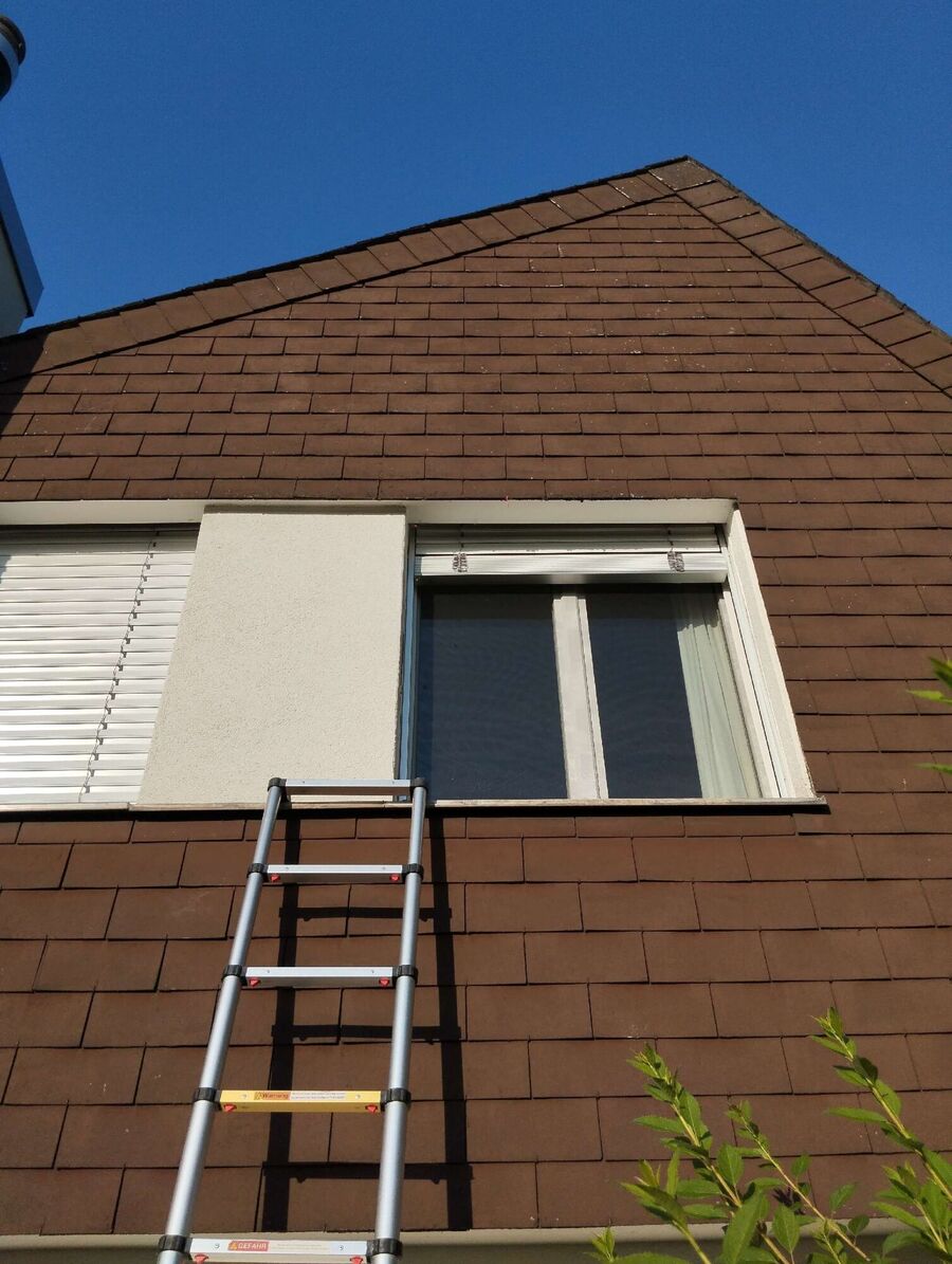 Bienen umsiedeln &  Bienennest entfernen 