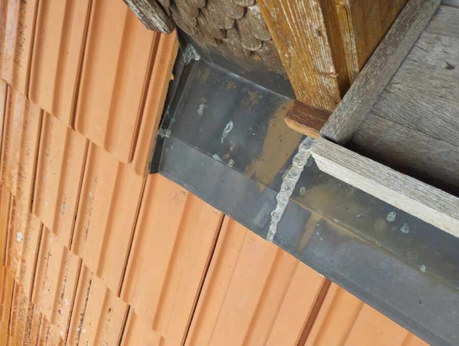  Bienennest entfernen.jpeg