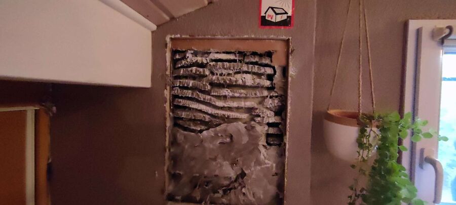  Bienennest entfernen.jpeg