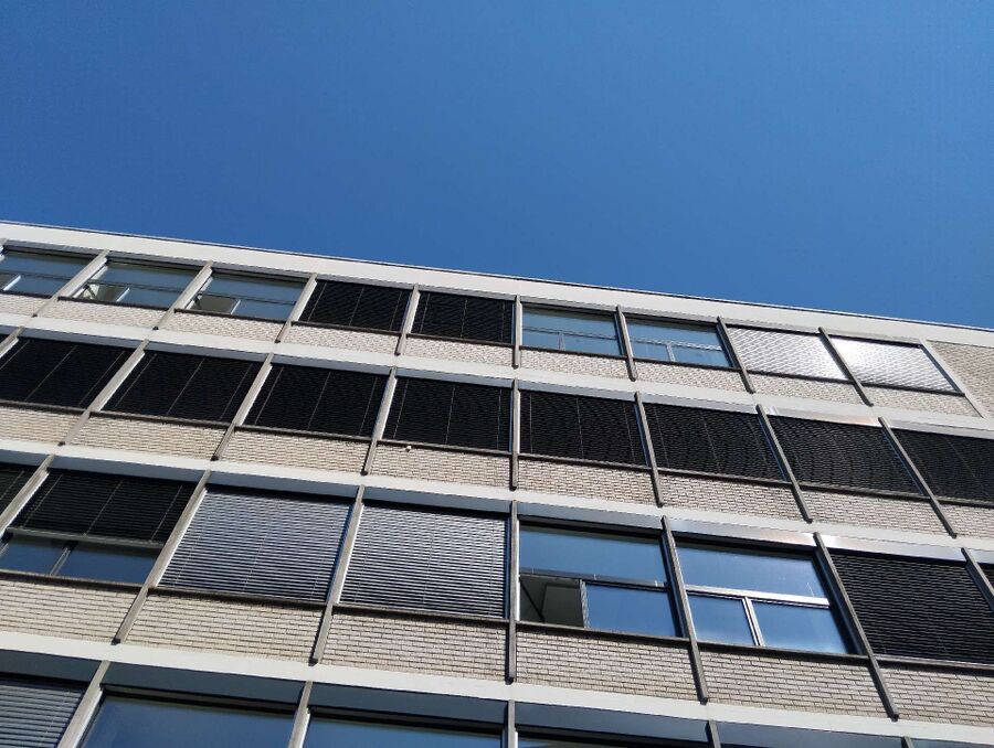  Bienennest entfernen