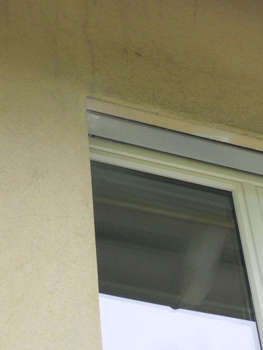 Bienen umsiedeln &  Bienennest entfernen 