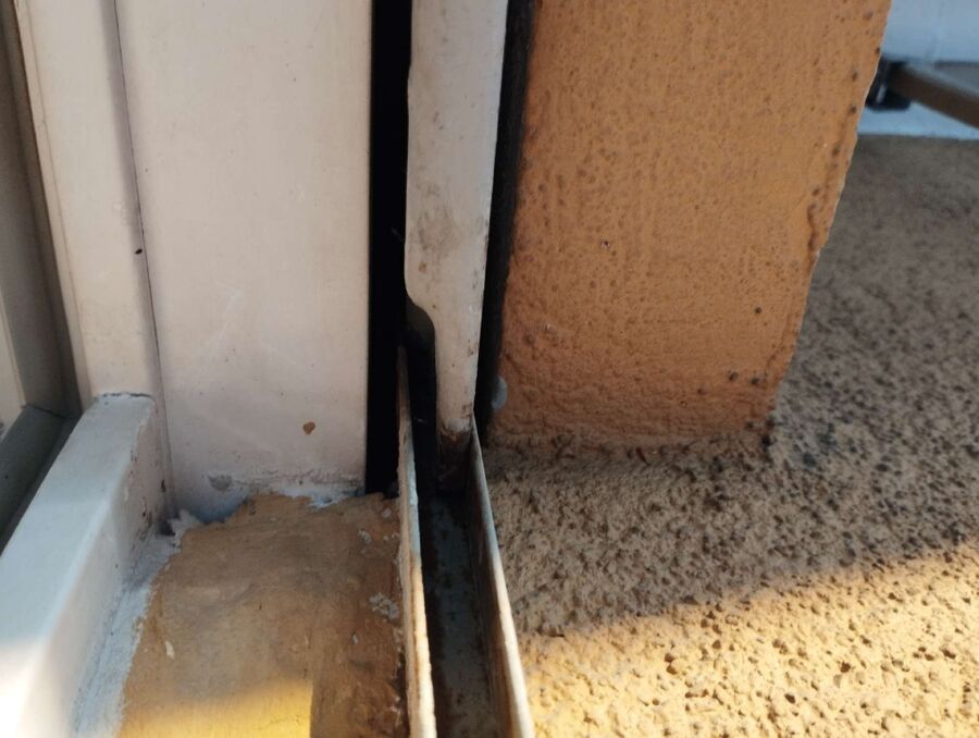  Bienennest entfernen.jpeg