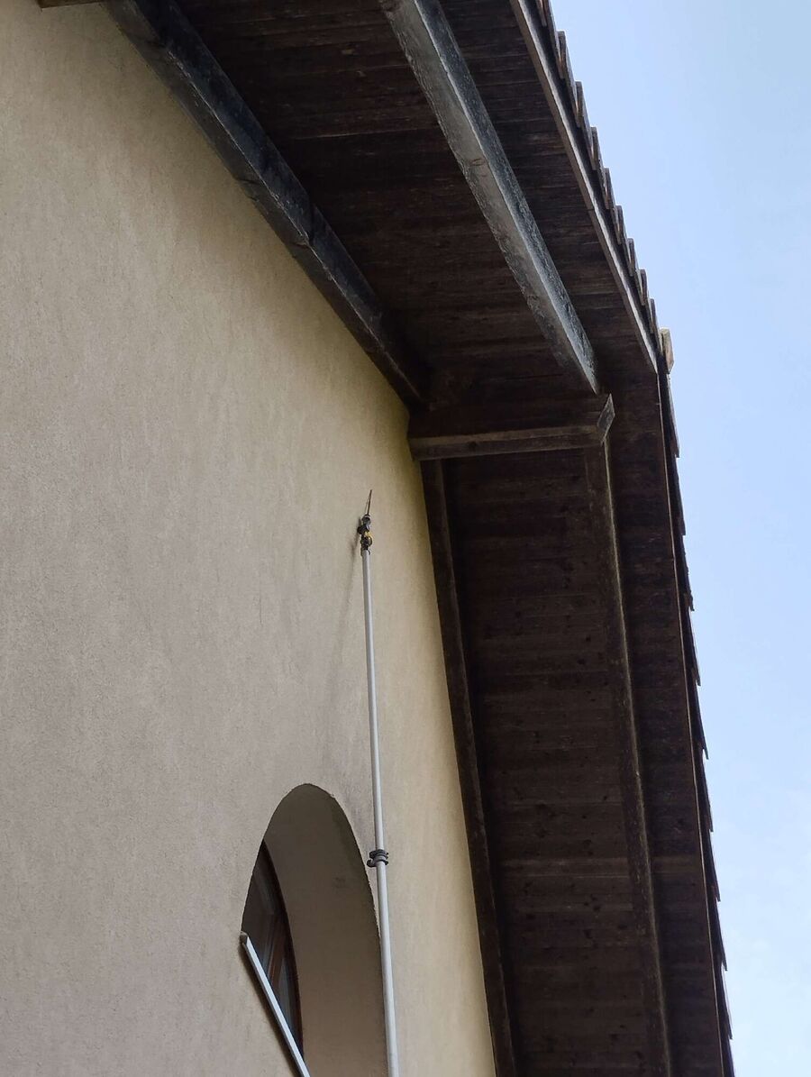 Bienen umsiedeln &  Bienennest entfernen 