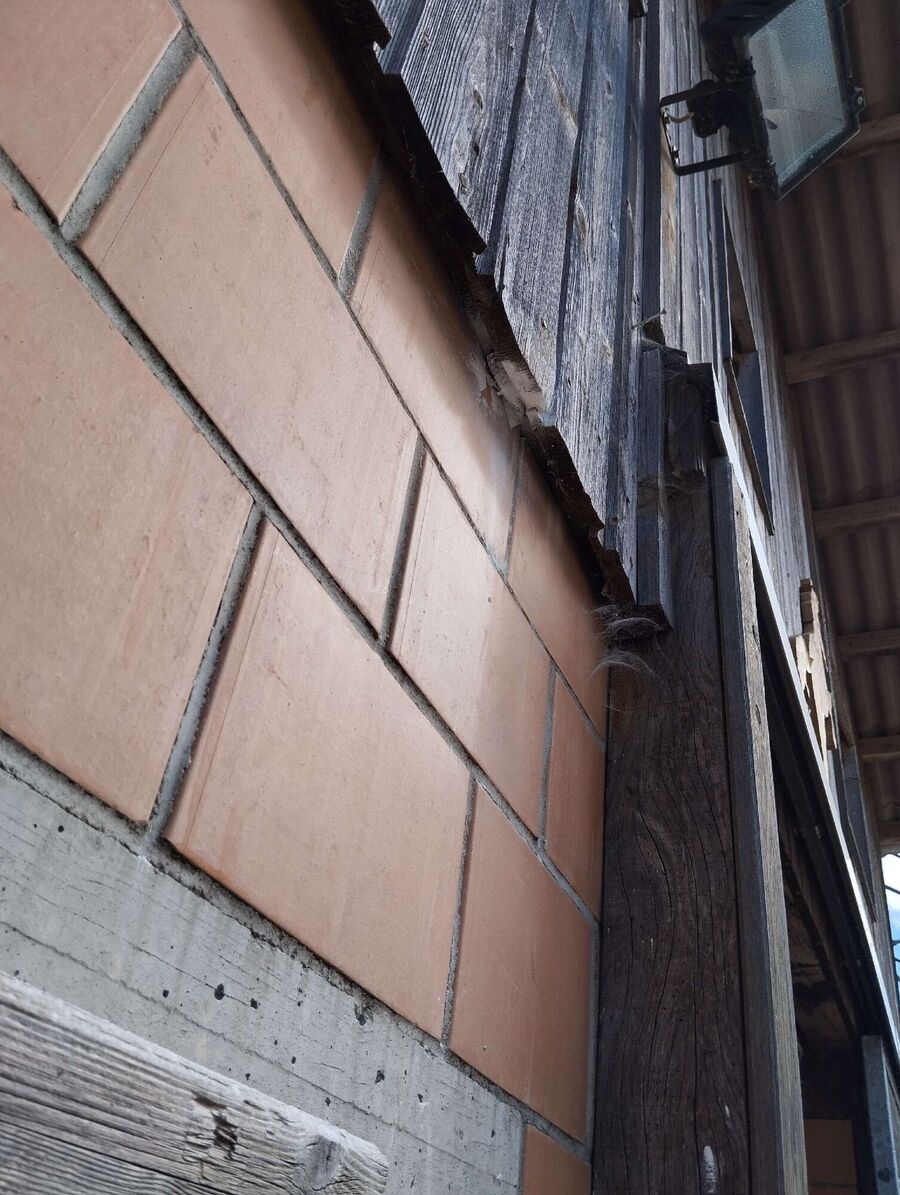  Bienennest entfernen