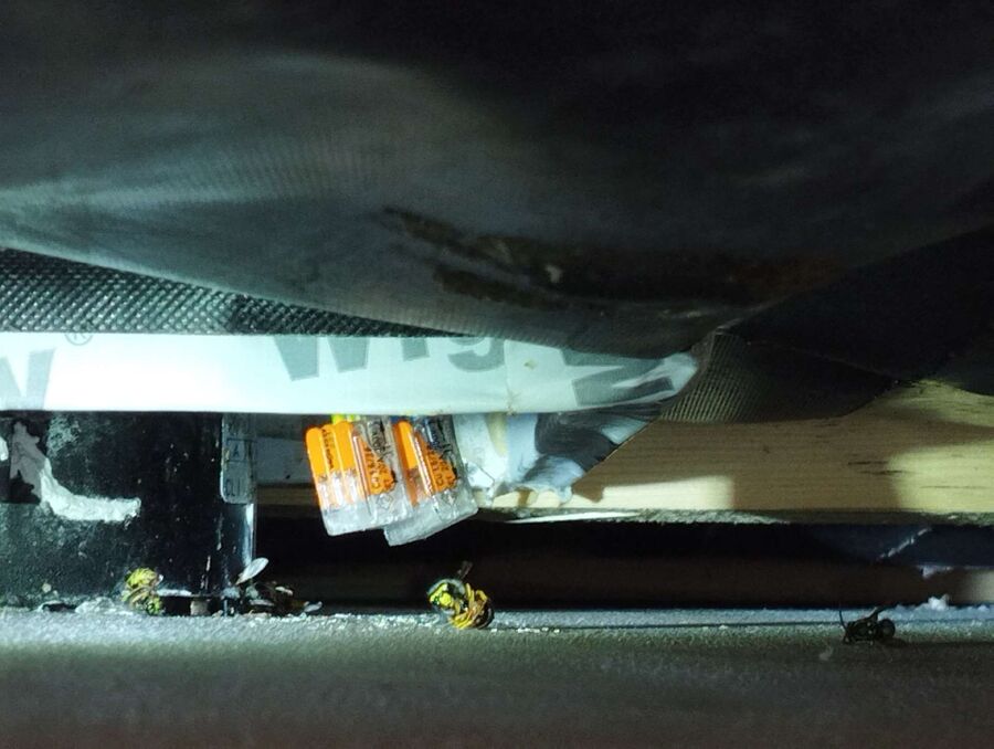  Bienennest entfernen