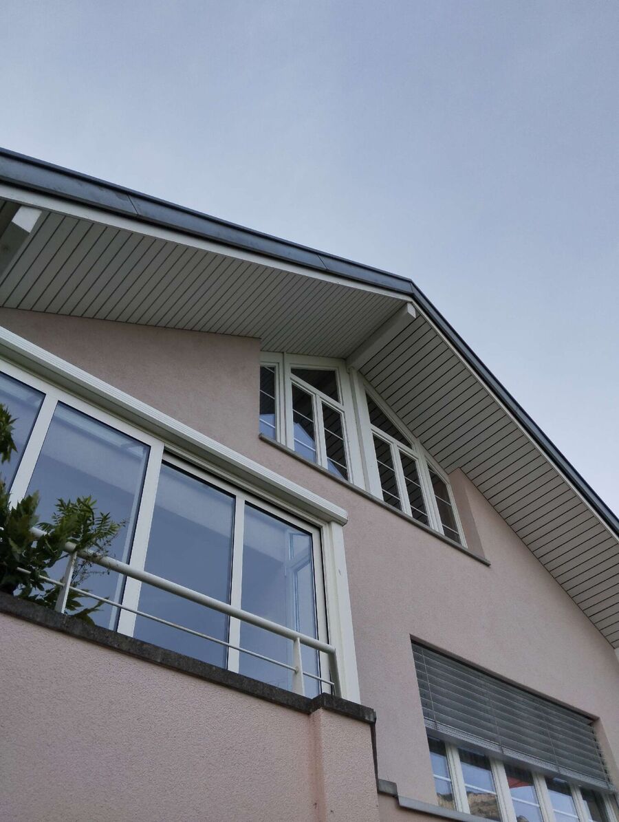  Bienennest entfernen