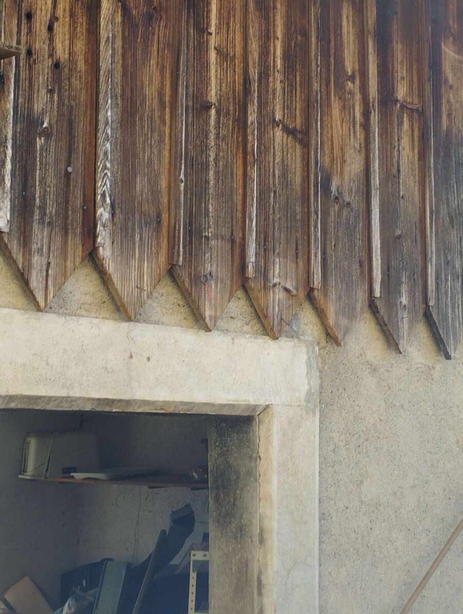 Bienen umsiedeln &  Bienennest entfernen 