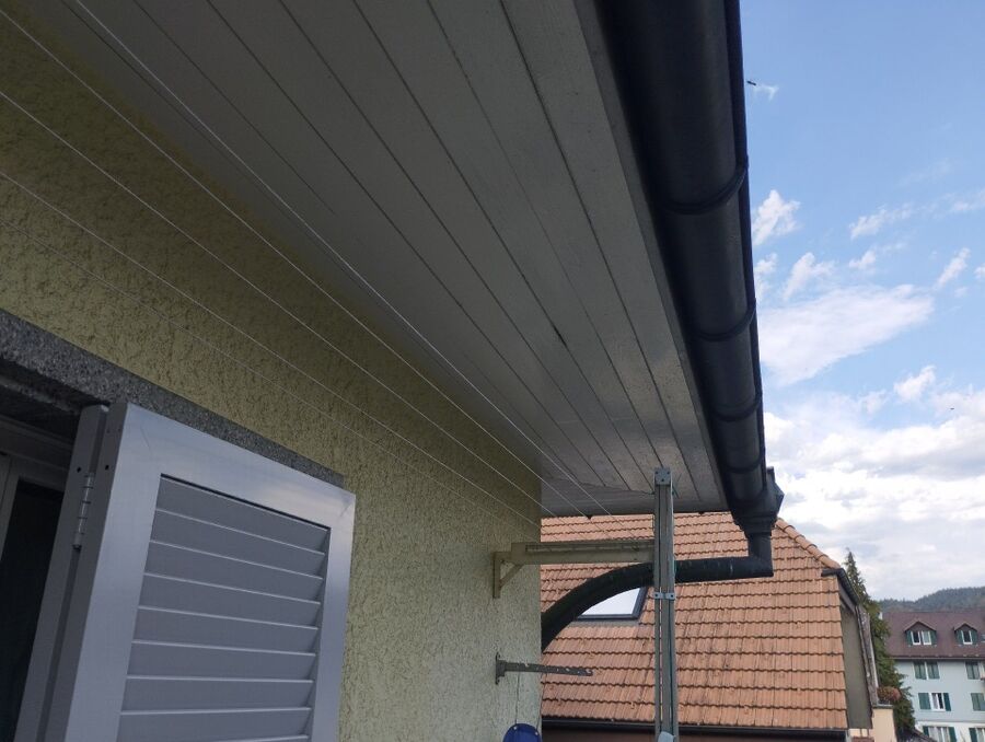  Bienennest entfernen