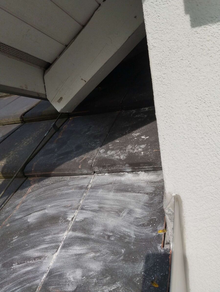 Bienen umsiedeln &  Bienennest entfernen 