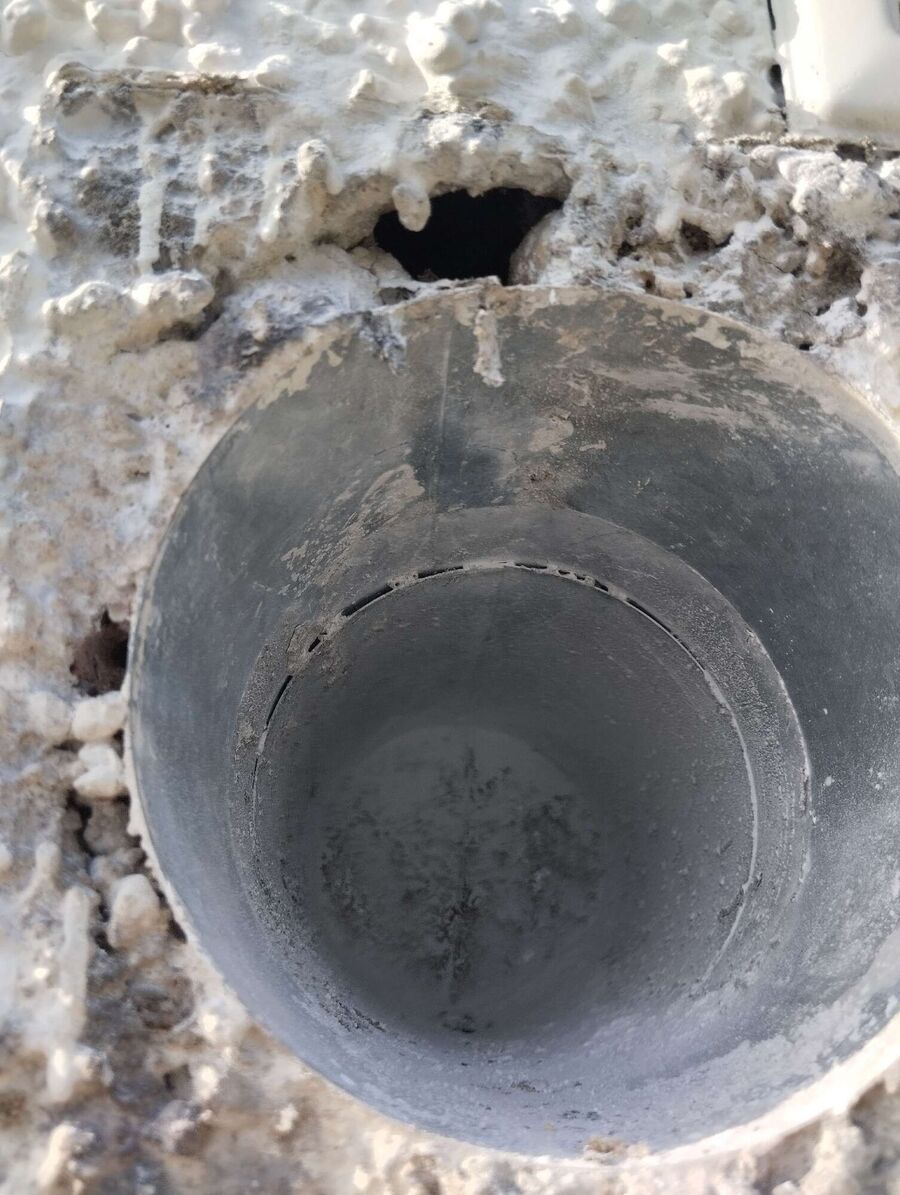 Bienen umsiedeln &  Bienennest entfernen 