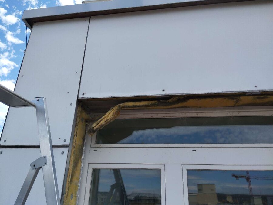  Bienennest entfernen