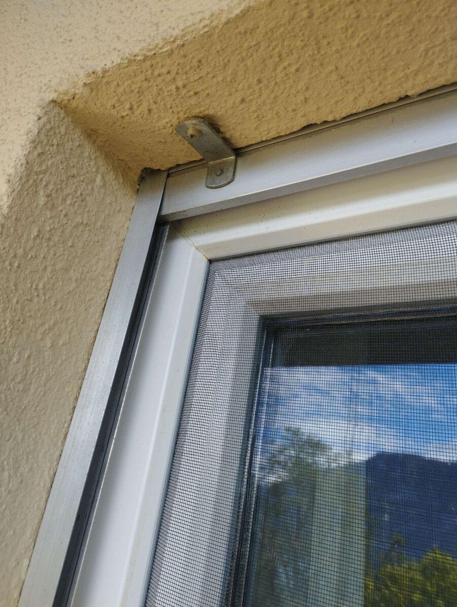  Bienennest entfernen.jpeg