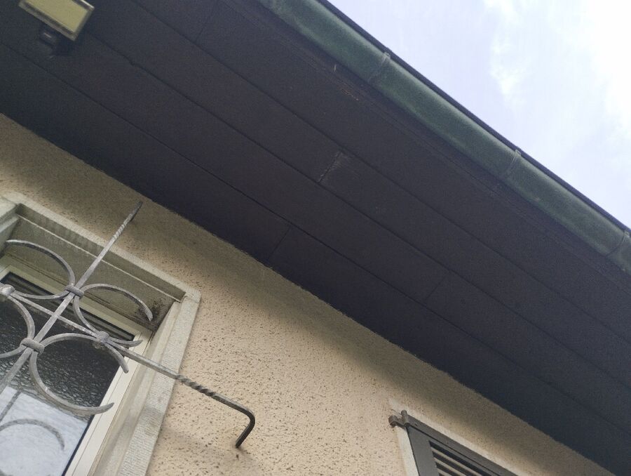  Bienennest entfernen.jpeg