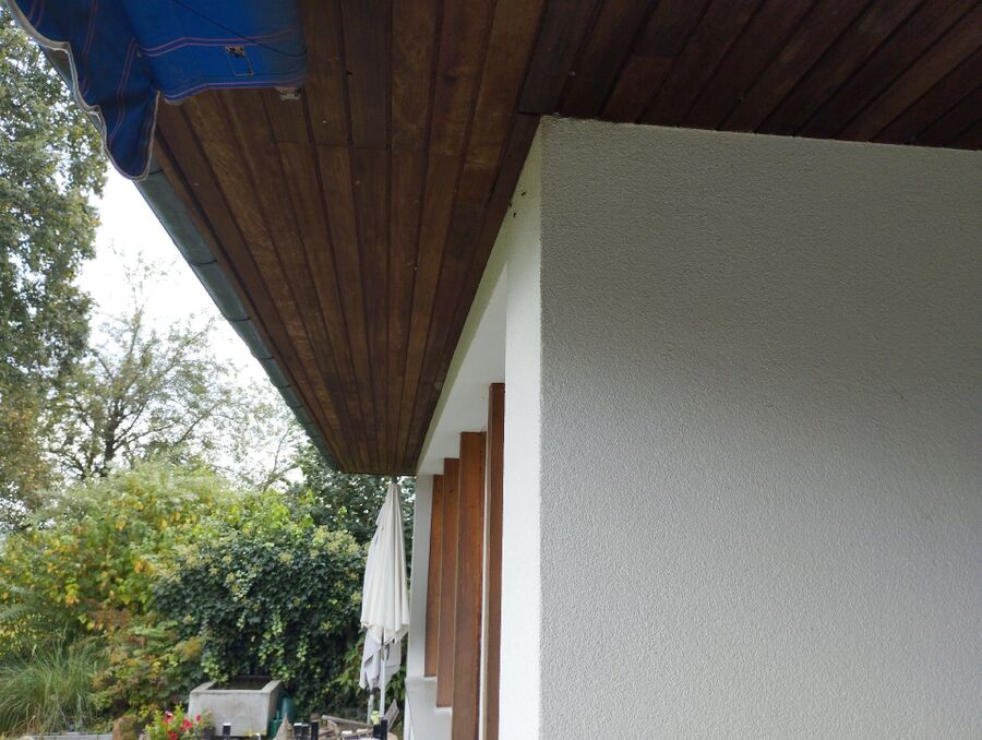 Bienen umsiedeln &  Bienennest entfernen 