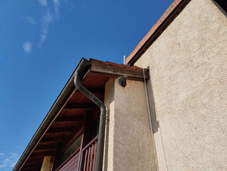  Bienennest entfernen