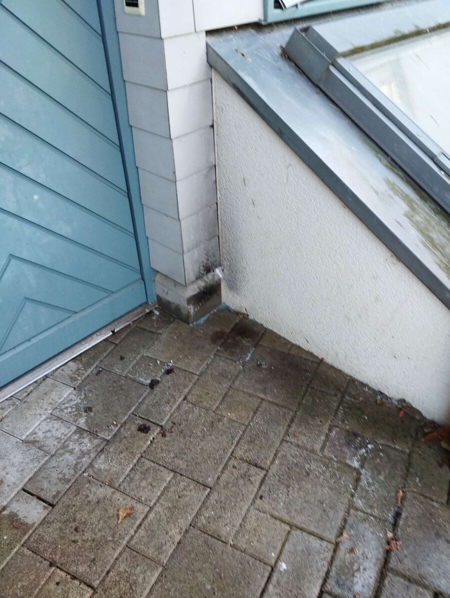  Bienennest entfernen