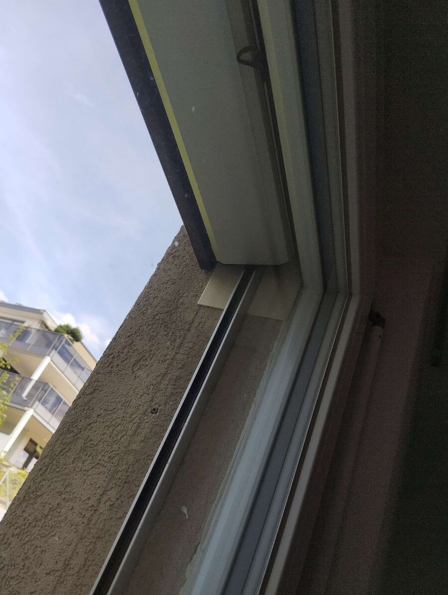  Bienennest entfernen.jpeg