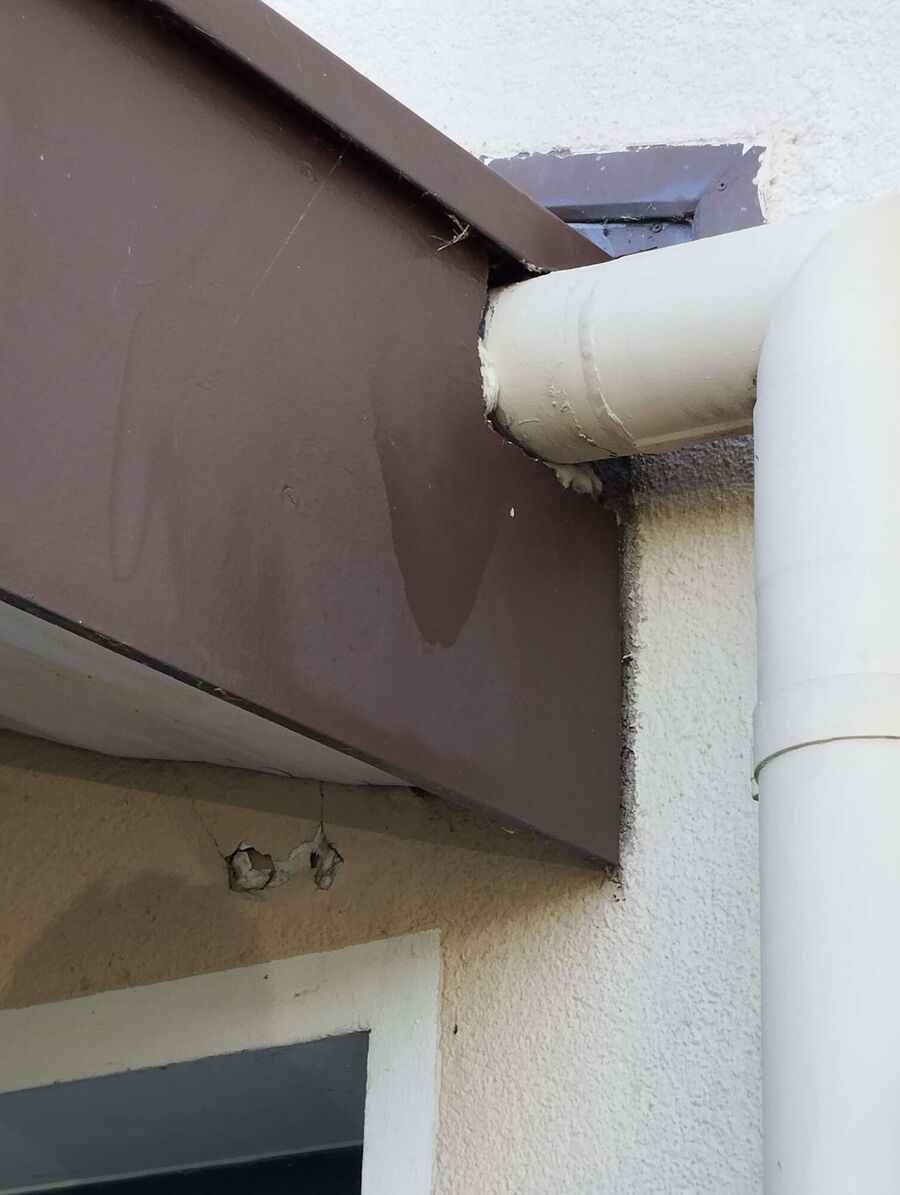  Bienennest entfernen