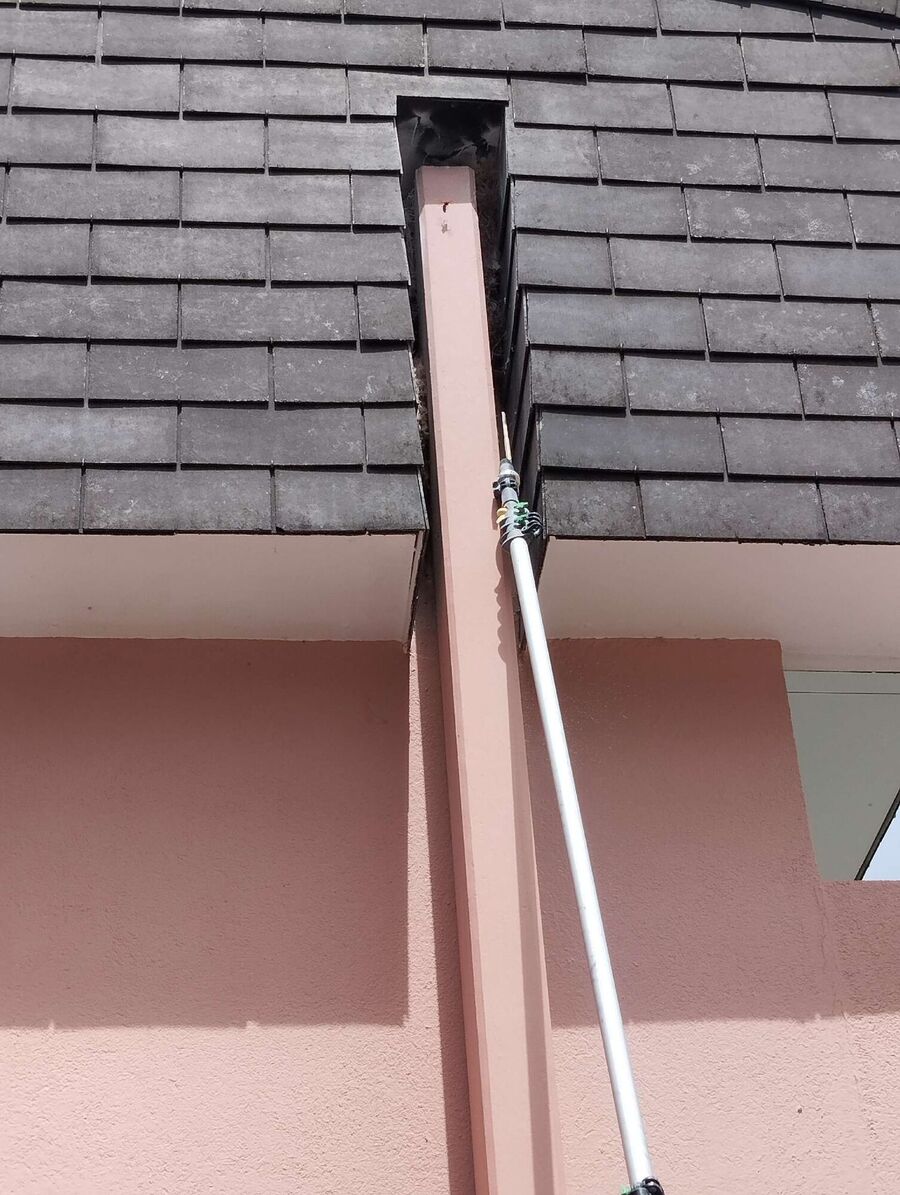  Bienennest entfernen