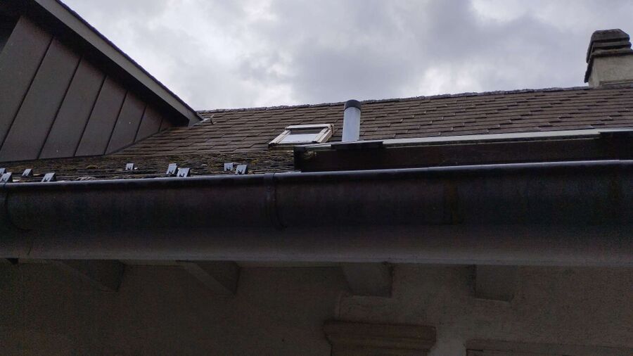 Bienen umsiedeln &  Bienennest entfernen 