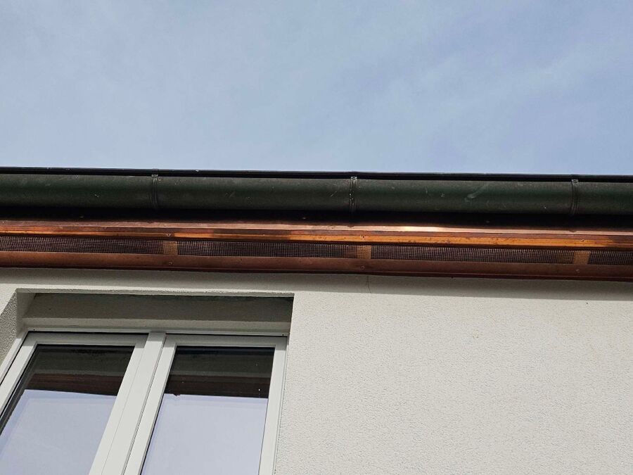  Bienennest entfernen