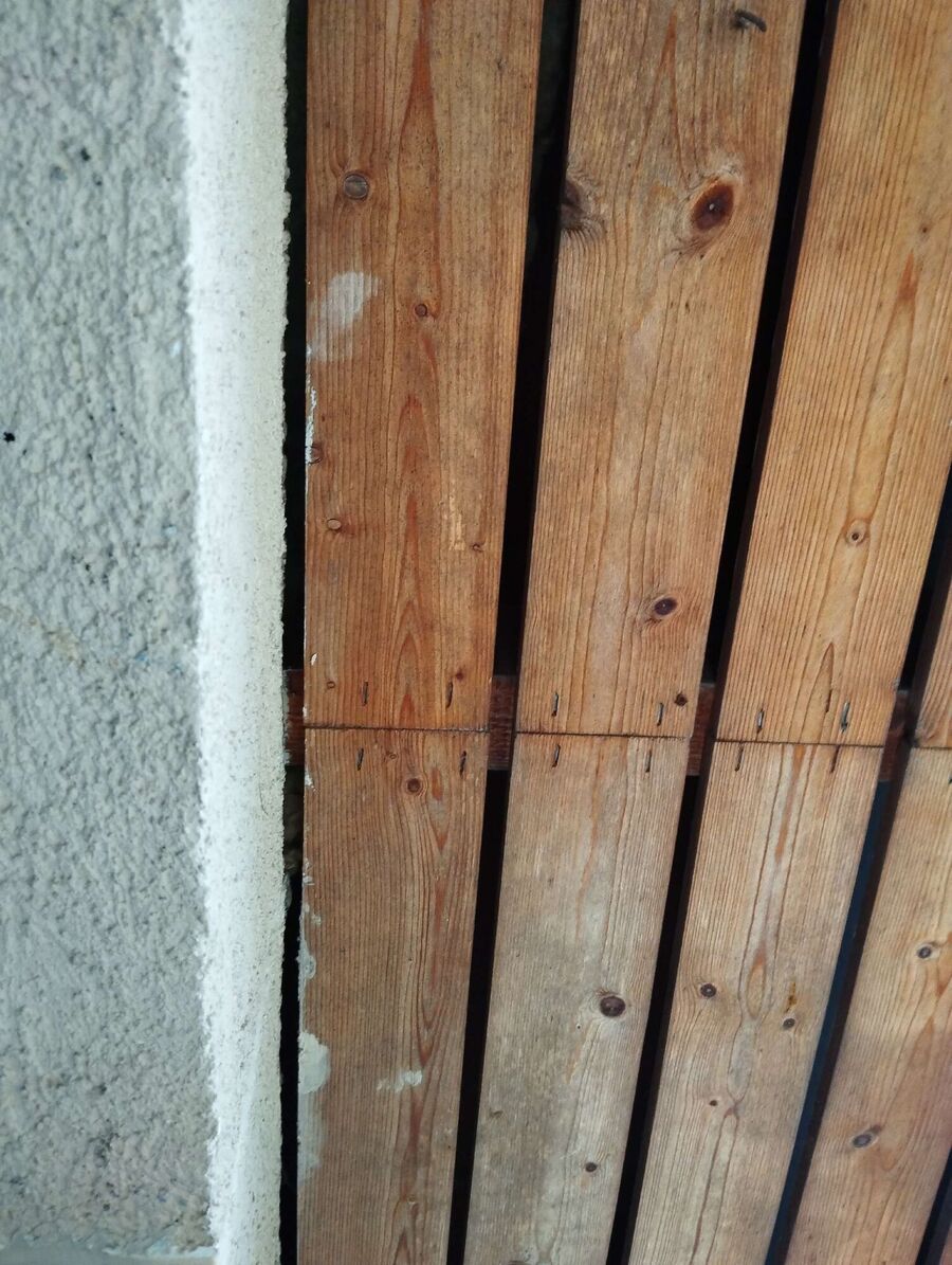  Bienennest entfernen.jpeg