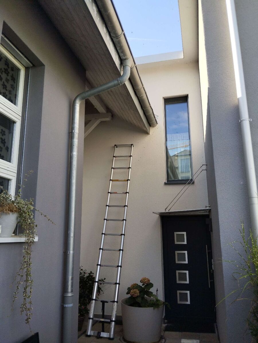  Bienennest entfernen