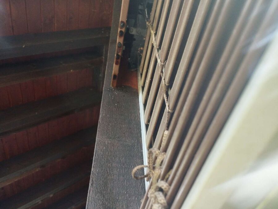 Bienen umsiedeln &  Bienennest entfernen 