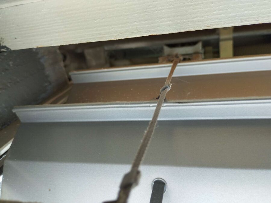  Bienennest entfernen