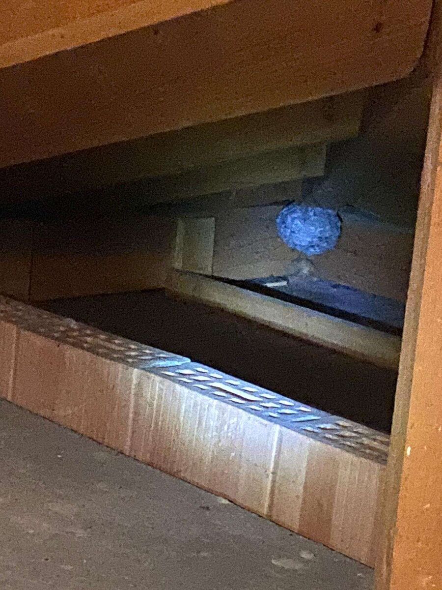  Bienennest entfernen