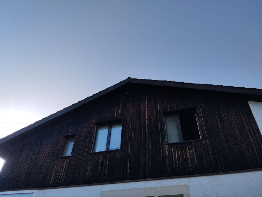 Bienen umsiedeln &  Bienennest entfernen 