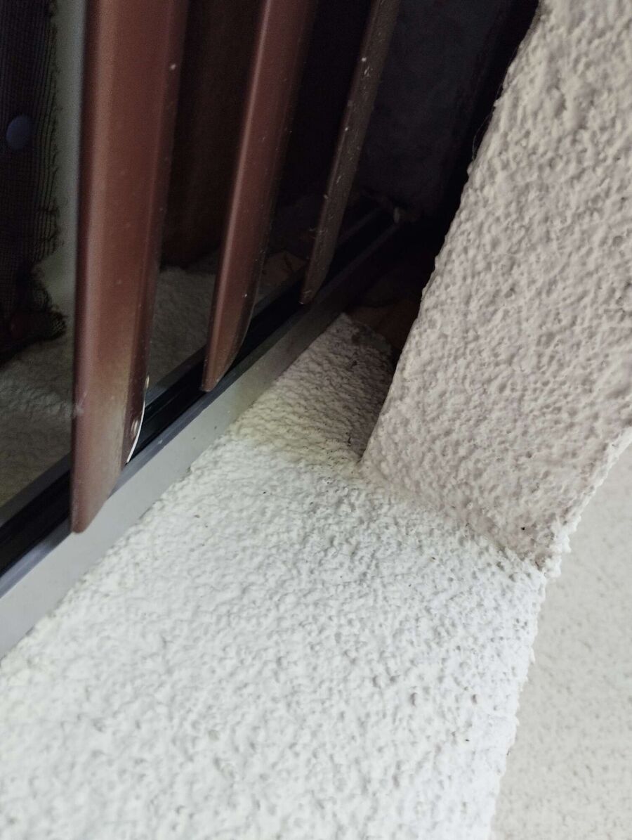  Bienennest entfernen.jpeg