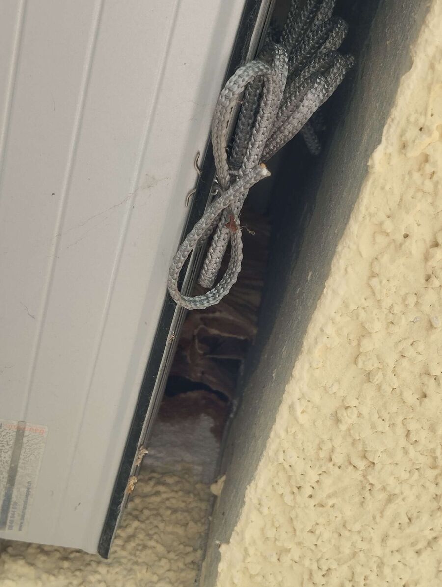  Bienennest entfernen