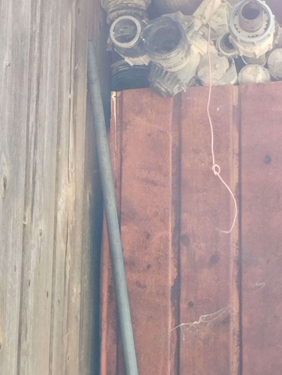 Bienen umsiedeln &  Bienennest entfernen 