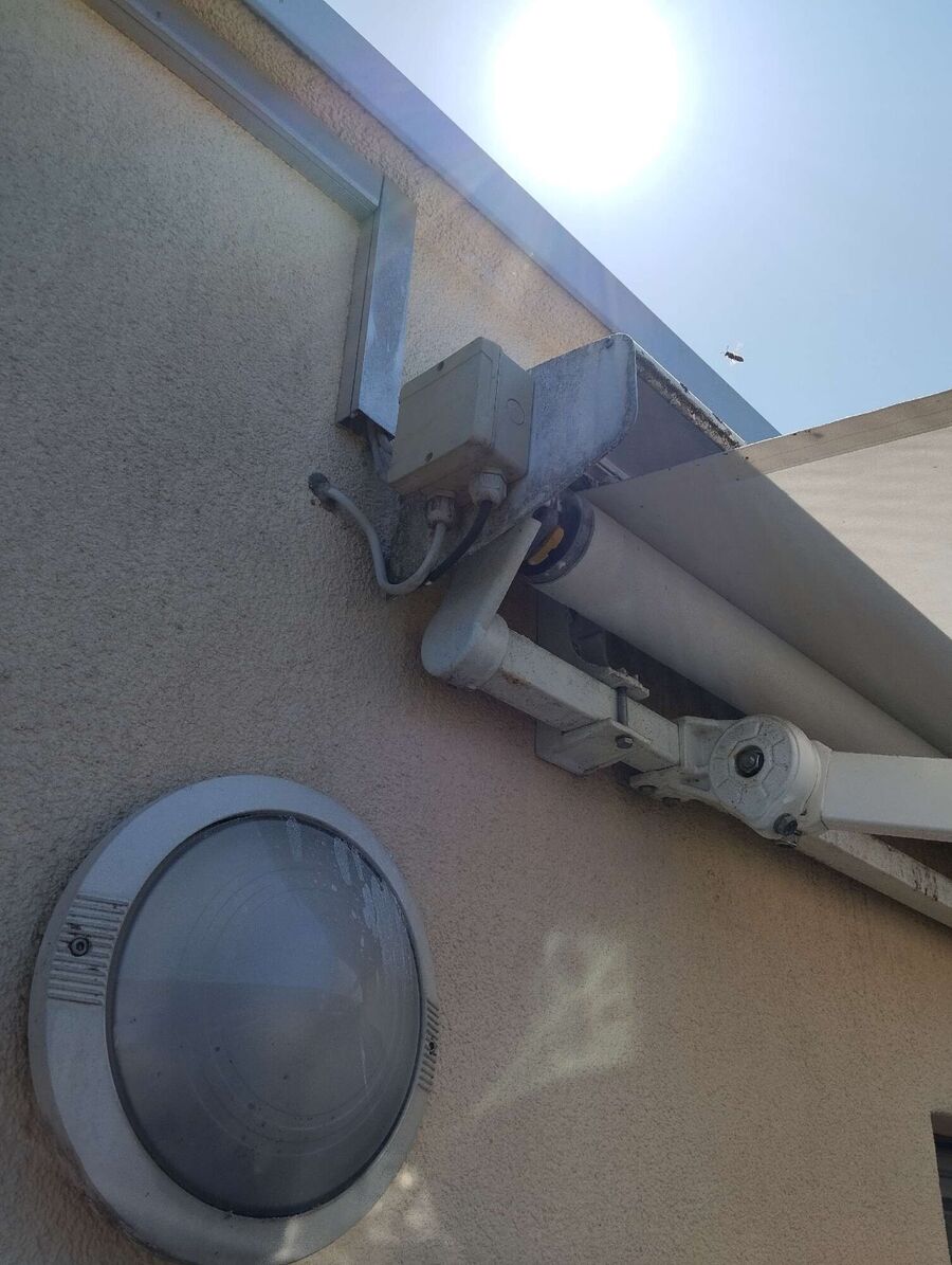 Bienen umsiedeln &  Bienennest entfernen 