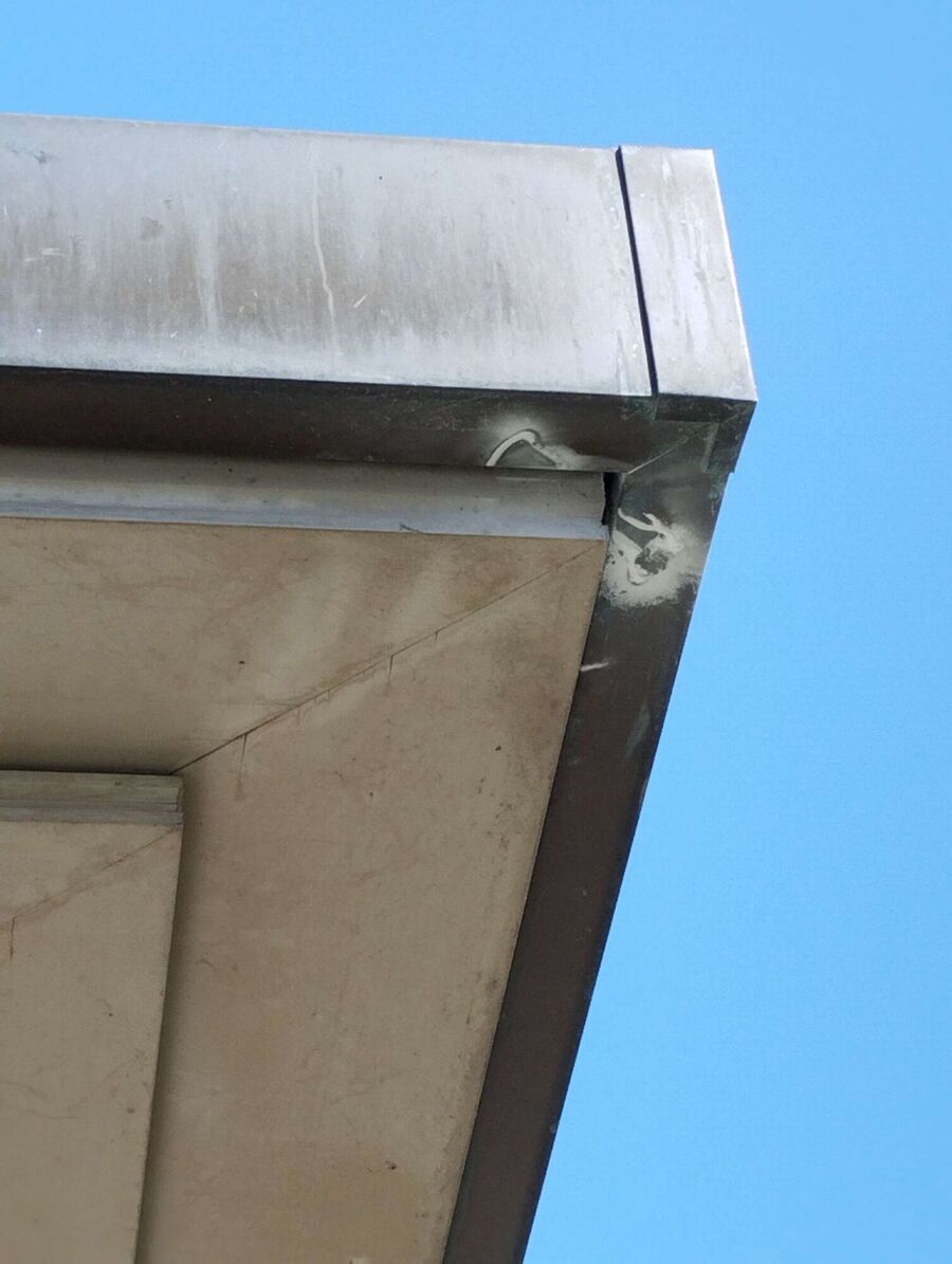  Bienennest entfernen