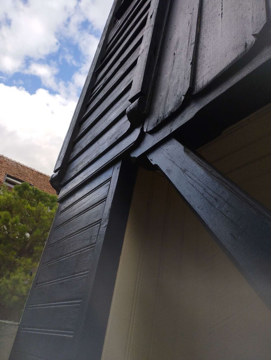  Bienennest entfernen